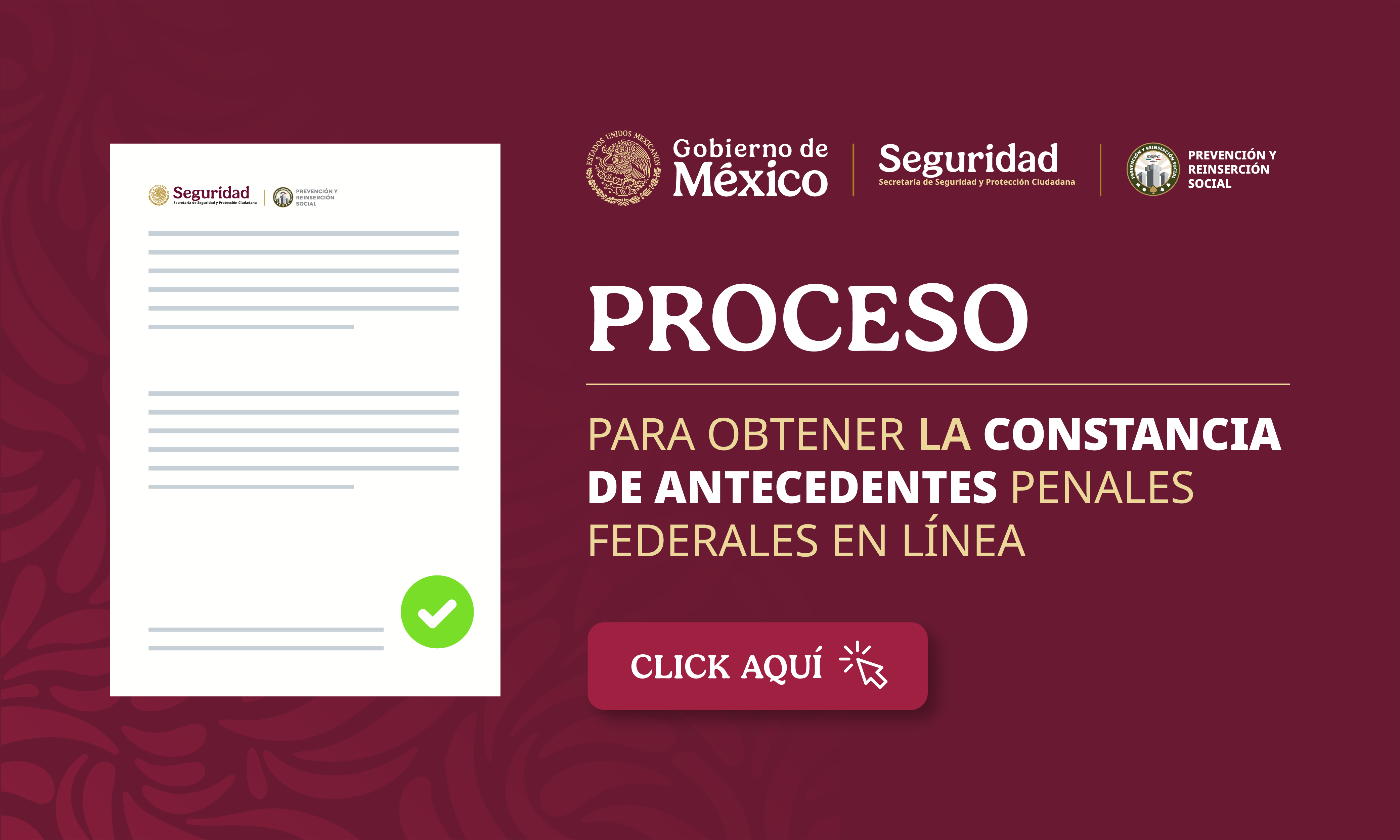 Proceso para obtener la Constancia de Antecedentes Penales Federales en Línea